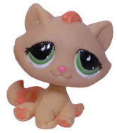 #0706/791 Sitting Bonbon Cat